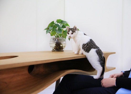 Catable 宠物猫桌
